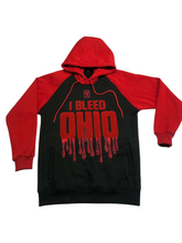 Load image into Gallery viewer, I Bleed Ohio Hoodie